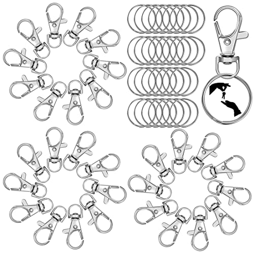 60 Stück Karabiner Schlüsselanhänger mit Schlüsselring, Metall Karabinerhaken Schlüsselring Clip Haken Drehverschlüsse, 25mm Schlüsselringe Set für Schlüsselschmuck DIY Handwerk Basteln (Silber) von YASQZ