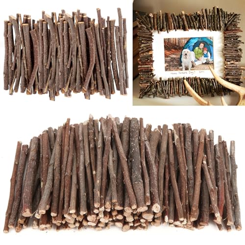 YAYODS 600 Stück 2KG Natur Apfelholz Aststücke mit Baumrinde - 11cm Holzstäbchen zum Basteln - 0,5-1cm Holzstäbe Deko Aste und Zweige deko Handwerk - Log Sticks Holzstab für DIY Handwerk Requisiten YAYODS 600 Stück 2KG Natur Apfelholz Aststücke mit Baumrinde - 11cm Holzstäbchen zum Basteln - 0,5-1cm Holzstäbe Deko Aste und Zweige deko Handwerk - Log Sticks Holzstab für DIY Handwerk Requisiten von YAYODS