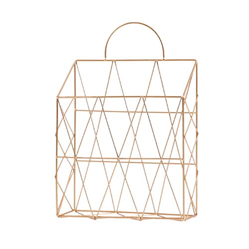 Mesh Wandliteraturhalter， Hängende Wand montiert Zeitung Zeitschrift Buch Dokument Datei Organizer Korb Metall Regal Lagerung Container Buch(B) von YBAAKZIIR