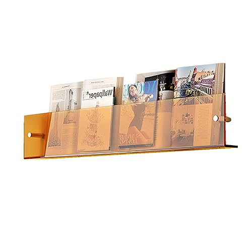 Mesh Wandliteraturhalter， Wand-Zeitschriftenständer aus Acryl, transparenter Broschürenhalter, Wandhalterung, hängender Zeitschriftenhalter, for Büro, Kirche, Café-Display(35.1 in) von YBAAKZIIR
