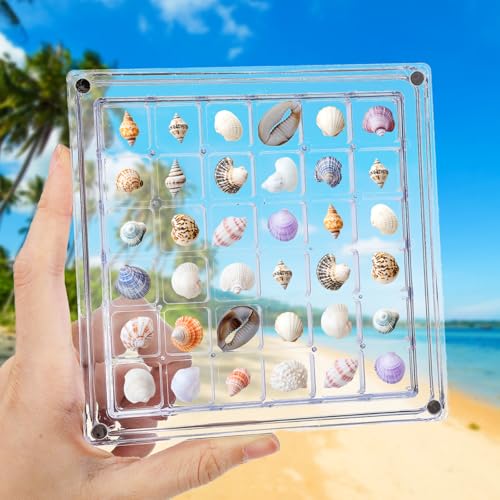 YBEATY 36 Fächer Acryl-Schaukasten transparent Schattenbox Strandmuschel Stein Fingerhut Aufbewahrungsbox Mini Schmuckregal Organizer für Sammler Diamanten Perlen Schmuck Kristalle Edelsteine YBEATY 36 Fächer Acryl-Schaukasten transparent Schattenbox Strandmuschel Stein Fingerhut Aufbewahrungsbox Mini Schmuckregal Organizer für Sammler Diamanten Perlen Schmuck Kristalle Edelsteine von YBEATY