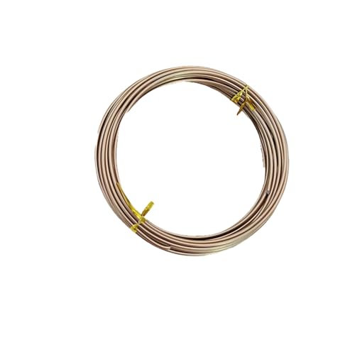 Mehrfarbiger Aluminiumdraht 1mm für Schmuckherstellung, 5M(16.4 FUSS) Basteldrahtrolle für Drahtwickeln, Perlenarbeiten, Skulptur, Modellbau, Floristik und DIY Bastelprojekte(Color:Champagner) von YDJIANCAI