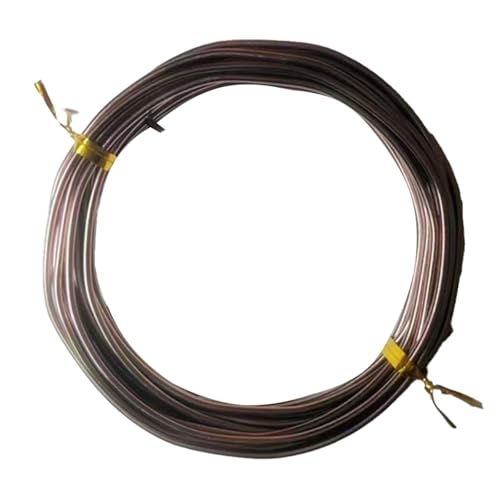 YDJIANCAI 1rolls 32,8ft/10 M Farbigem Eisendraht Für DIY-Handwerk Multifunktionsbildungsdraht Tragbare Schmuckversorgungen Flexible Weicheisen Für Kunst Und (Size:3.0mm,Color:Brown) von YDJIANCAI