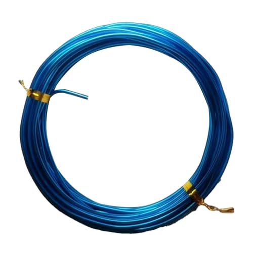YDJIANCAI 1rolls 32,8ft/10 M Farbigem Eisendraht Für DIY-Handwerk Multifunktionsbildungsdraht Tragbare Schmuckversorgungen Flexible Weicheisen Für Kunst Und (Size:3.0mm,Color:Dodge Blue) von YDJIANCAI