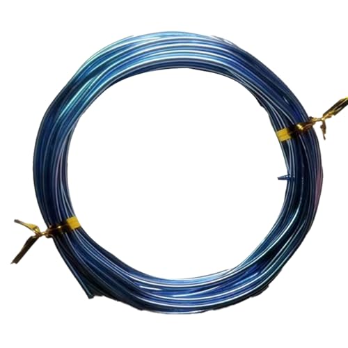YDJIANCAI 1rolls 32,8ft/10 M Farbigem Eisendraht Für DIY-Handwerk Multifunktionsbildungsdraht Tragbare Schmuckversorgungen Flexible Weicheisen Für Kunst Und (Size:3.0mm,Color:riesiger blau) von YDJIANCAI