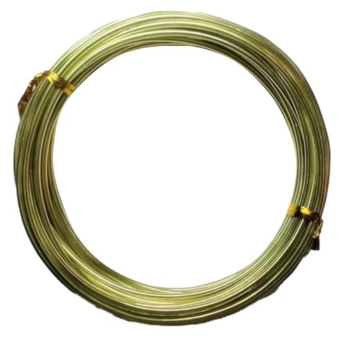 YDJIANCAI 1rolls 32,8ft/10 M Farbigem Eisendraht Für DIY-Handwerk Multifunktionsbildungsdraht Tragbare Schmuckversorgungen Flexible Weicheisen Für Kunst Und Design(Size:3.0mm,Color:Apple Green) von YDJIANCAI
