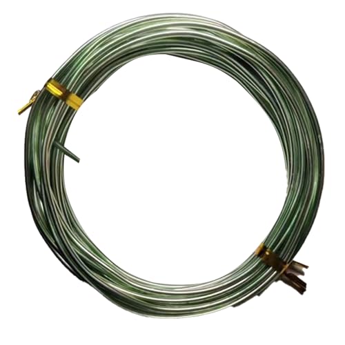 YDJIANCAI 1rolls 32,8ft/10 M Farbigem Eisendraht Für DIY-Handwerk Multifunktionsbildungsdraht Tragbare Schmuckversorgungen Flexible Weicheisen Für Kunst Und Design(Size:3.0mm,Color:Grasgrün) von YDJIANCAI