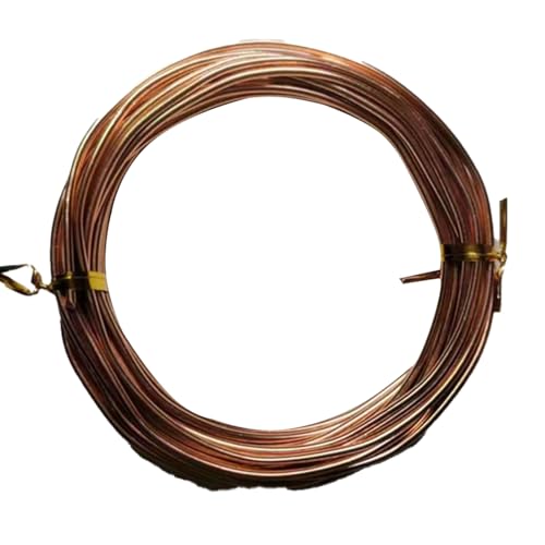 YDJIANCAI 1rolls 32,8ft/10 M Farbigem Eisendraht Für DIY-Handwerk Multifunktionsbildungsdraht Tragbare Schmuckversorgungen Flexible Weicheisen Für Kunst Und Design(Size:3.0mm,Color:Light Brown) von YDJIANCAI