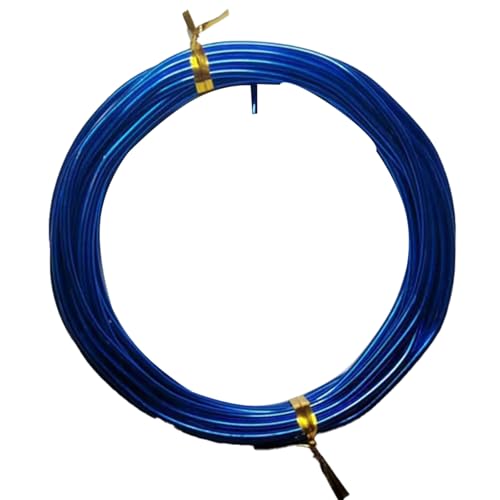 YDJIANCAI 1rolls 32,8ft/10 M Farbigem Eisendraht Für DIY-Handwerk Multifunktionsbildungsdraht Tragbare Schmuckversorgungen Flexible Weicheisen Für Kunst Und Design(Size:3.0mm,Color:Royal Blue) von YDJIANCAI