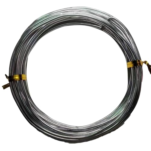 YDJIANCAI 1rolls 32,8ft/10 M Farbigem Eisendraht Für DIY-Handwerk Multifunktionsbildungsdraht Tragbare Schmuckversorgungen Flexible Weicheisen Für Kunst Und Design(Size:3.0mm,Color:Silver) von YDJIANCAI