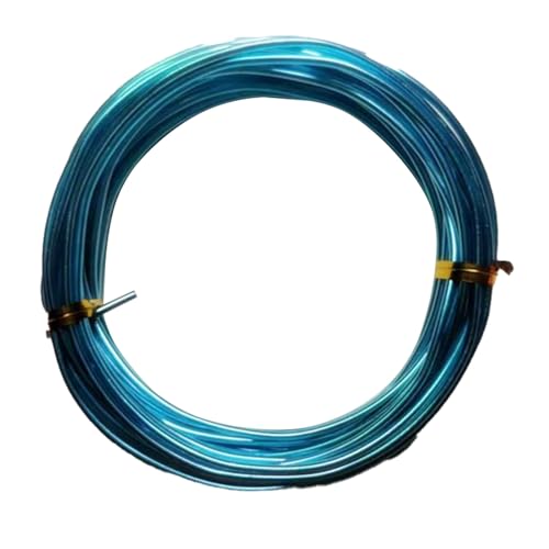 YDJIANCAI 1rolls 32,8ft/10 M Farbigem Eisendraht Für DIY-Handwerk Multifunktionsbildungsdraht Tragbare Schmuckversorgungen Flexible Weicheisen Für Kunst Und Design(Size:3.0mm,Color:Sky Blue) von YDJIANCAI
