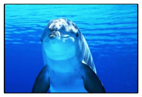 Delphin-Tier stickbilder vorgedruckt kreuzstich anfanger kinder erwachsene 11ct kreuzstich set vorgedruckt kreuzstich set Cross Stitch Kit 40 × 50cm von YDLPUCEV