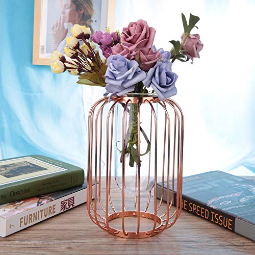 YDuupxe Schmiedeeisenvase mit Glastestrohr für Hydroponische Blüten Laternengeformte Kerzenhäuser Homecor Ornament (26/16/16) von YDuupxe