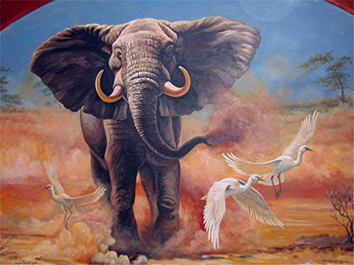 YEESAM ART DIY Ölgemälde Malen nach Zahlen Erwachsene Kinder, Elefant Weiße Vögel in der Wüste Zahlenmalerei ab 5 Öl Wandkunst (Elefant, mit Rahmen) von YEESAM ART