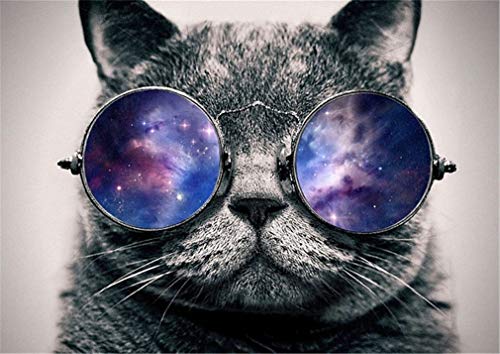YEESAM ART DIY Ölgemälde Malen nach Zahlen Erwachsene Kinder, Grau Katze mit Sonnenbrille Zahlenmalerei ab 5 Öl Wandkunst (Gray Katze, ohne Rahmen) von YEESAM ART