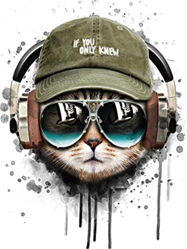 YEESAM ART DIY Ölgemälde Malen nach Zahlen Erwachsene Kinder, Musik Katze Cool Katze Zahlenmalerei ab 5 Öl Wandkunst (Katze, ohne Rahmen) von YEESAM ART