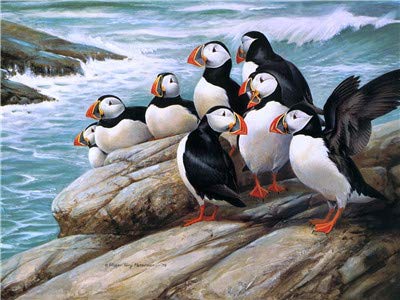 YEESAM ART DIY Ölgemälde Malen nach Zahlen Erwachsene Kinder, Pinguin Fluss Zahlenmalerei ab 5 Öl Wandkunst (Pinguin, mit Rahmen) von YEESAM ART