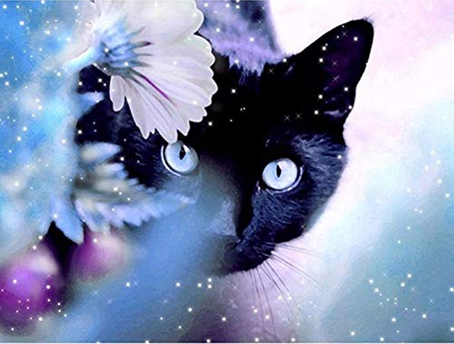 YEESAM ART DIY Ölgemälde Malen nach Zahlen Erwachsene Kinder, Schwarze Katze im Schnee Zahlenmalerei ab 5 Öl Wandkunst YEESAM ART DIY Ölgemälde Malen nach Zahlen Erwachsene Kinder, Schwarze Katze im Schnee Zahlenmalerei ab 5 Öl Wandkunst von YEESAM ART