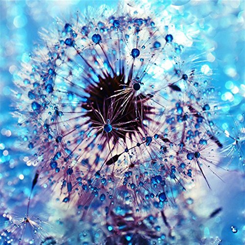 YEESAM Art Diamant Malerei Kits, Löwenzahn Blau Blume 30x30 cm DIY 5D Diamond Painting Strass Stickerei für Zuhause Wand Und Wohnzimmer Dekor von YEESAM ART