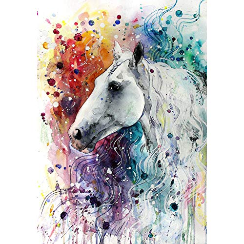 YEESAM ART Diamant Malerei Kits Vollbohrer, Weiß Pferd Abstrakt Bunt 30x40 cm DIY 5D Diamond Painting Strass Stickerei für Zuhause Wand Und Wohnzimmer Dekor (Weiß) von YEESAM ART