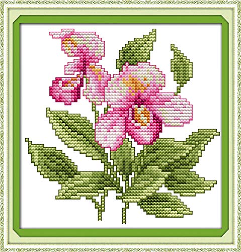 YEESAM ART Kreuzstich Stickerei Set für Erwachsene Anfänger Kinder, Phalaenopsis Blumen 11CT 21×22 cm Vorgedruckten DIY Stickerei Handarbeit Kits (Phalaenopsis) von YEESAM ART