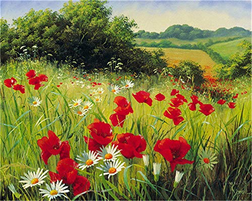 YEESAM ART Malen nach Zahlen für Erwachsene und Anfänger, Mohnblumen in der Wildblume, 40,6 x 50,8 cm, Leinen-Leinwand, Acryl, Stress-weniger Zahlen, Malen, Geschenke von YEESAM ART