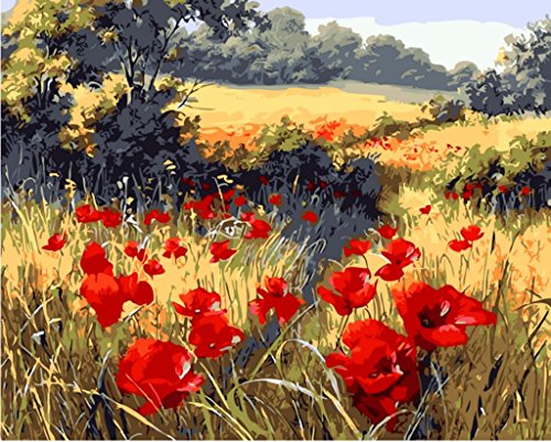 YEESAM ART Neuerscheinungen Malen nach Zahlen für Erwachsene Kinder - Rot Mohn Blume Garten 16 * 20 Zoll Leinen Segeltuch - DIY ölgemälde ölfarben Weihnachten Geschenke von YEESAM ART