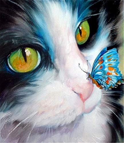 YEESAM ART Neuheiten Malen nach Zahlen Erwachsene Kinder, Blau Katze & Schmetterling Nettes Kätzchen 40x50 cm Leinen Segeltuch, DIY ölgemälde Weihnachten Geschenke YEESAM ART Neuheiten Malen nach Zahlen Erwachsene Kinder, Blau Katze & Schmetterling Nettes Kätzchen 40x50 cm Leinen Segeltuch, DIY ölgemälde Weihnachten Geschenke von YEESAM ART