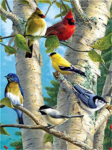 YEESAM ART Neuheiten Malen nach Zahlen Erwachsene Kinder, Bunt Papagei Vögel auf dem Baum 40x50 cm Leinen Segeltuch, DIY ölgemälde Weihnachten Geschenke von YEESAM ART