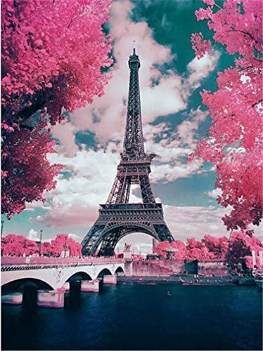 YEESAM ART Neuheiten Malen nach Zahlen Erwachsene Kinder, Frankreich Paris Eiffelturm, Romantische Kirschblüte, Rosa Blüten 40x50 cm Leinen Segeltuch, DIY ölgemälde Weihnachten von YEESAM ART