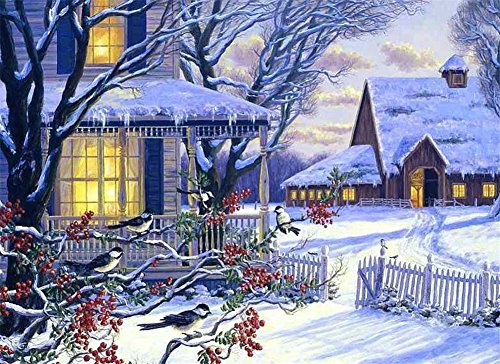 YEESAM ART Neuheiten Malen nach Zahlen Erwachsene Kinder, Winter Schnee & Cottage 40x50 cm Leinen Segeltuch, DIY ölgemälde Weihnachten Geschenke YEESAM ART Neuheiten Malen nach Zahlen Erwachsene Kinder, Winter Schnee & Cottage 40x50 cm Leinen Segeltuch, DIY ölgemälde Weihnachten Geschenke von YEESAM ART