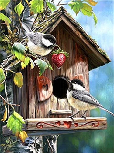 YEESAM ART Neuheiten Malen nach Zahlen Erwachsene Kinder, Zwei Vögel auf dem Baum Haus 40x50 cm Leinen Segeltuch, DIY ölgemälde Weihnachten Geschenke (Vögel, Mit Rahmen) von YEESAM ART