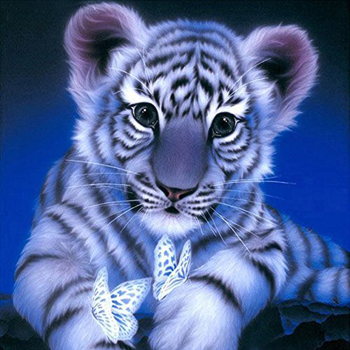 Yeesam Art 5D Diamant Painting Full Drill Set – Tiger Baby – 20x20 cm DIY Kristalle Diamant Strass Malerei nach Zahlen Kits Kreuzstich Stickerei von YEESAM ART