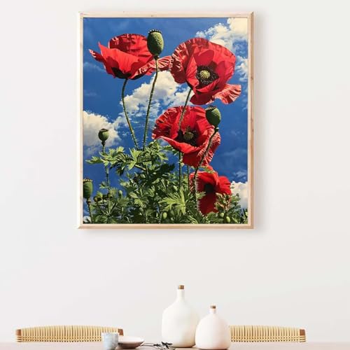 Diamond Painting Erwachsene Tier Diamond Painting Zubehör Schmetterling, DIY Runden Steine Mosaikherstellung Basteln Erwachsene Anfänger Set für Schlafzimmer Wohnzimmer, Geschenke 100x135CM PJY9 X-K Diamond Painting Erwachsene Tier Diamond Painting Zubehör Schmetterling, DIY Runden Steine Mosaikherstellung Basteln Erwachsene Anfänger Set für Schlafzimmer Wohnzimmer, Geschenke 100x135CM PJY9 X-K von YEYUMEOZ
