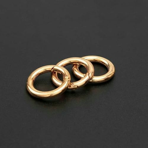 10 Stück Metall-O-Ring-Federverschlüsse für DIY-Schmuck, zu öffnen, runder Karabiner, Schlüsselanhänger, Taschenclips, Haken, Hundekettenschnallen, Verbinder, goldfarben, 25 mm 10 Stück Metall-O-Ring-Federverschlüsse für DIY-Schmuck, zu öffnen, runder Karabiner, Schlüsselanhänger, Taschenclips, Haken, Hundekettenschnallen, Verbinder, goldfarben, 25 mm von YFSHC