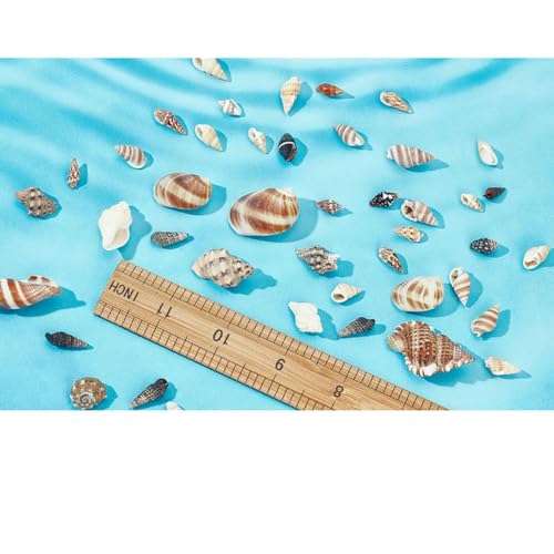 Muscheln, 466 Stück, Spiralmuschelperlen in 15 Stilen, ungebohrt, winzige Muscheln, Ozean-Spiralmuscheln, Miniaturmuscheln, 1 Box, 14 Stile von YFSHC