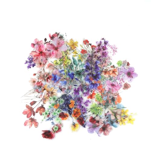 YFaith Sticker Blumen, 200 Stück Aufkleber Blumen, PET Scrapbooking Aufkleber, Wasserdicht und Kratzfest, für Dekorieren von Kunsthandwerk, Notizbüchern, Fotoalben YFaith Sticker Blumen, 200 Stück Aufkleber Blumen, PET Scrapbooking Aufkleber, Wasserdicht und Kratzfest, für Dekorieren von Kunsthandwerk, Notizbüchern, Fotoalben von YFaith