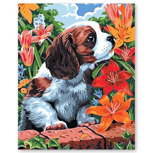 YFesoin Malen Nach Zahlen Erwachsene 40 X 50cm Mit 3-Pinseln und Acrylfarbe YFesoin Malen Nach Zahlen Erwachsene 40 X 50cm Mit 3-Pinseln und Acrylfarbe von YFesoin