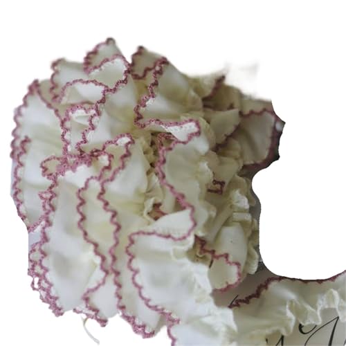 2 m Spitzenbesatz aus reiner Baumwolle mit Zahnkante for Selbernähen von Kleidung, Textilornamenten, Mehrzweck-Nähzubehör(White) von YGLEEULI