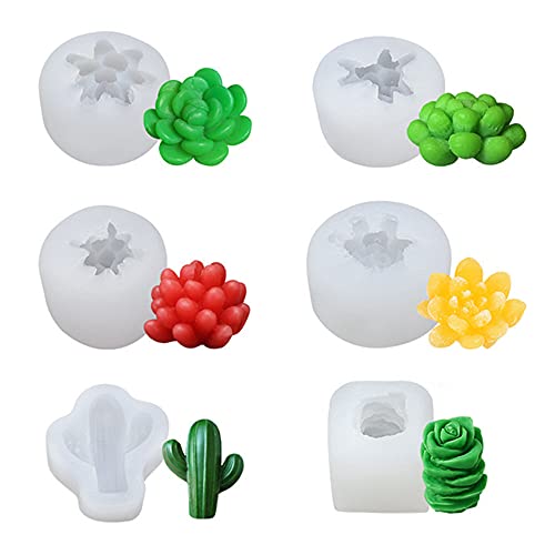 YGMXZL Sukkulente Kaktus Silikonform,3D Silikon Kerzenformen,DIY Fondant Backformen Set für Dekorieren Kuchen Brot Schokolade Muffin Süßigkeiten 6 Stück von YGMXZL