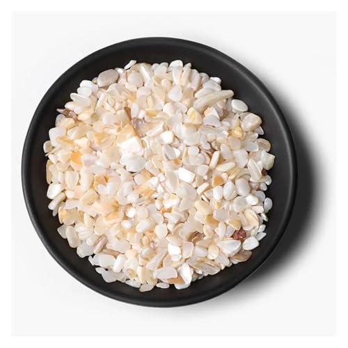 Unregelmäßiger Kies, Rosenquarz, Rohmineralien, Stein, Verwendung for die Dekoration von Wohnkultur, Aquarium, Aquarium(NO.18 Shell,20g) von YGSGJSP