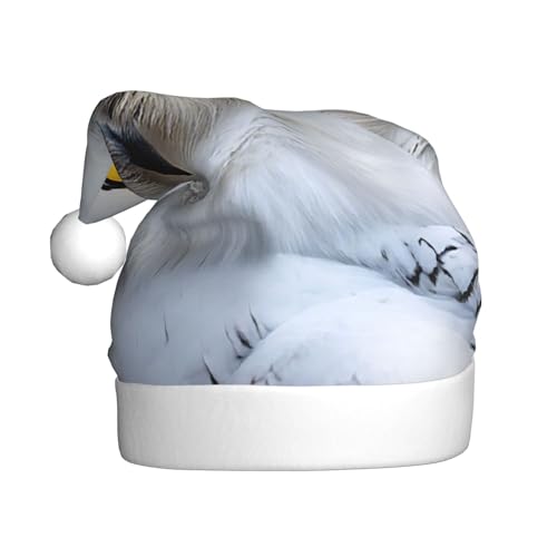 YHLKLWKSZC Weihnachtsmütze mit verschneiten Eulen-Augen, bedruckt, Weihnachtsmannmütze für Erwachsene, Unisex, Urlaub von YHLKLWKSZC