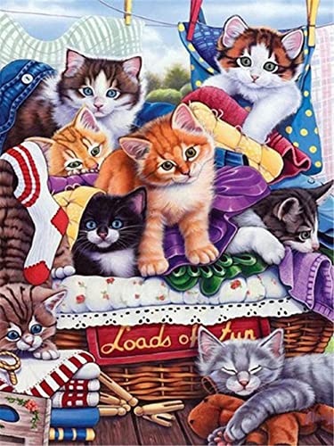Kreuzstich Stickpackungen,DIY Vorgedruckt 11CT Einfach Kreuzstich Stickpackung zum Anfänger,Kreuz Nähen Handarbeit Wohnkultur,Katze,40 * 50 cm Kreuzstich Stickpackungen,DIY Vorgedruckt 11CT Einfach Kreuzstich Stickpackung zum Anfänger,Kreuz Nähen Handarbeit Wohnkultur,Katze,40 * 50 cm von YHX926