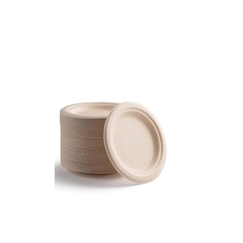 100 Stück super starre Pappteller, 100 % biologisch abbaubar und kompostierbar, umweltfreundlicher, strapazierfähiger, recycelbarer Speiseteller, perfekt für Picknicks, Grillabende (15,2 cm) von YIEN