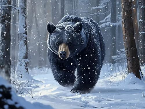 Diamond Painting Erwachsene Bär Diamant Painting Bilder Winterwälder, 5D Diamond-Painting Groß 80x60 cm, DIY Diamant Malerei Set Mosaikherstellung Bastelset als Geschenk für Wanddekoration -RD631 von YIFEIYANYFY