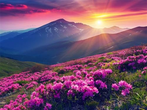 Diamond Painting Erwachsene Naturkulisse Diamant Painting Bilder Wildblumen Berge, 5D Diamond-Painting Groß 100x70 cm, DIY Diamant Malerei Set Mosaikherstellung Bastelset für Wanddekoration -RD635 von YIFEIYANYFY