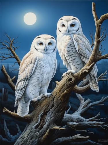 Diamond Painting Erwachsene Vollmond Diamant Painting Bilder Eule, 5D Diamond-Painting Groß 60x90 cm, DIY Diamant Malerei Set Mosaikherstellung Bastelset als Geschenk für Wanddekoration -RD1279 von YIFEIYANYFY