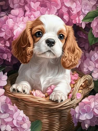 Diamond Painting Mops 30x40cm, 5D Diamant Painting Bilder für Erwachsene und Anfänger, DIY Diamond Painting Set Blumen Full Drill Diamant Kunst Malerei Stickerei Kits für Home Wand Décor -RD1150 von YIFEIYANYFY