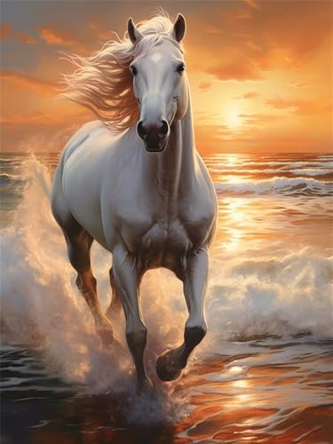 Diamond Painting Pferd 40x50 cm, 5D Diamant Painting Bilder für Erwachsene und Anfänger, DIY Diamond Painting Set Sonnenuntergang Meer Full Drill Diamant Kunst Malerei für Home Wand Décor -RD1133 von YIFEIYANYFY
