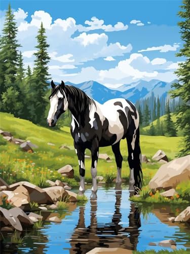 Diamond Painting Präriepferd xxl 60x80 cm, 5D Diamant Painting Bilder für Erwachsene und Anfänger, DIY Diamond Painting Set Berg Full Drill Diamant Kunst Malerei Kits für Home Wand Décor -RD1309 von YIFEIYANYFY
